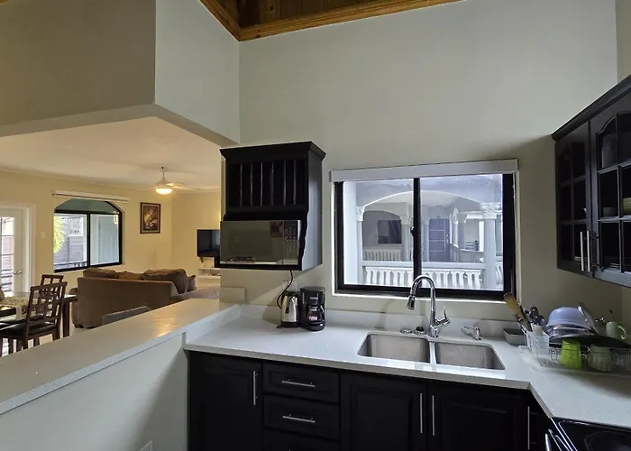 224 Patterson Palms